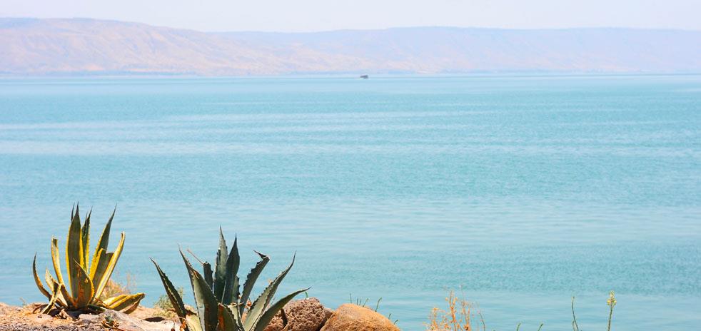Galilee and Golan Hotels