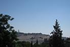 Mount of Olive